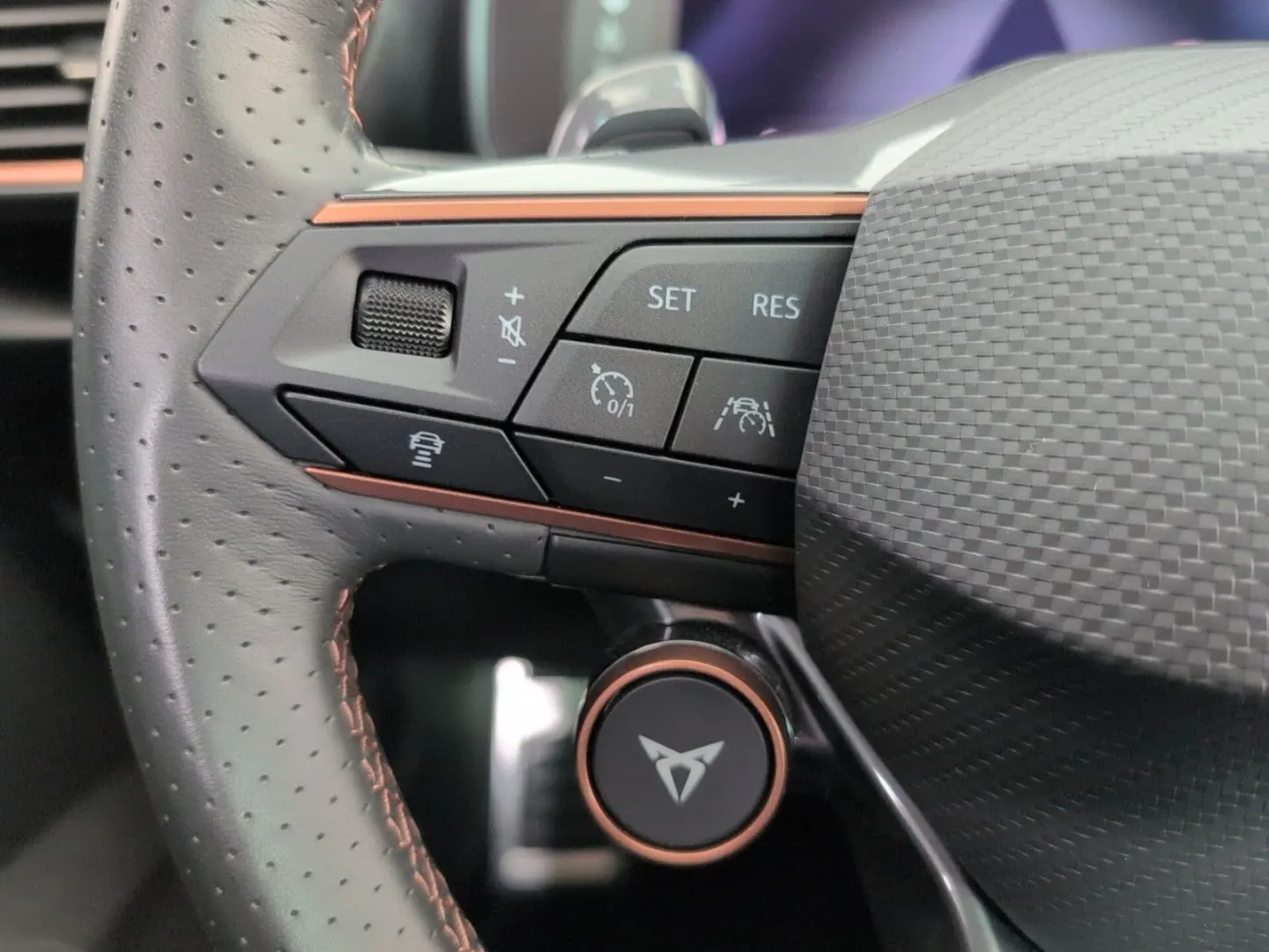 Formentor 2.0 TSI VZ AHK PANO LEDER COPPER MATT