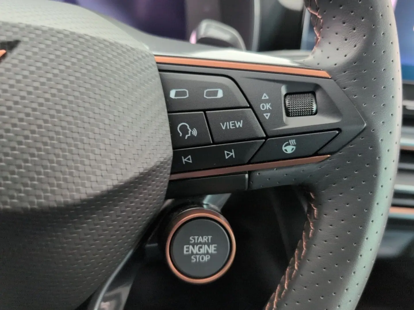 Formentor 2.0 TSI VZ AHK PANO LEDER COPPER MATT