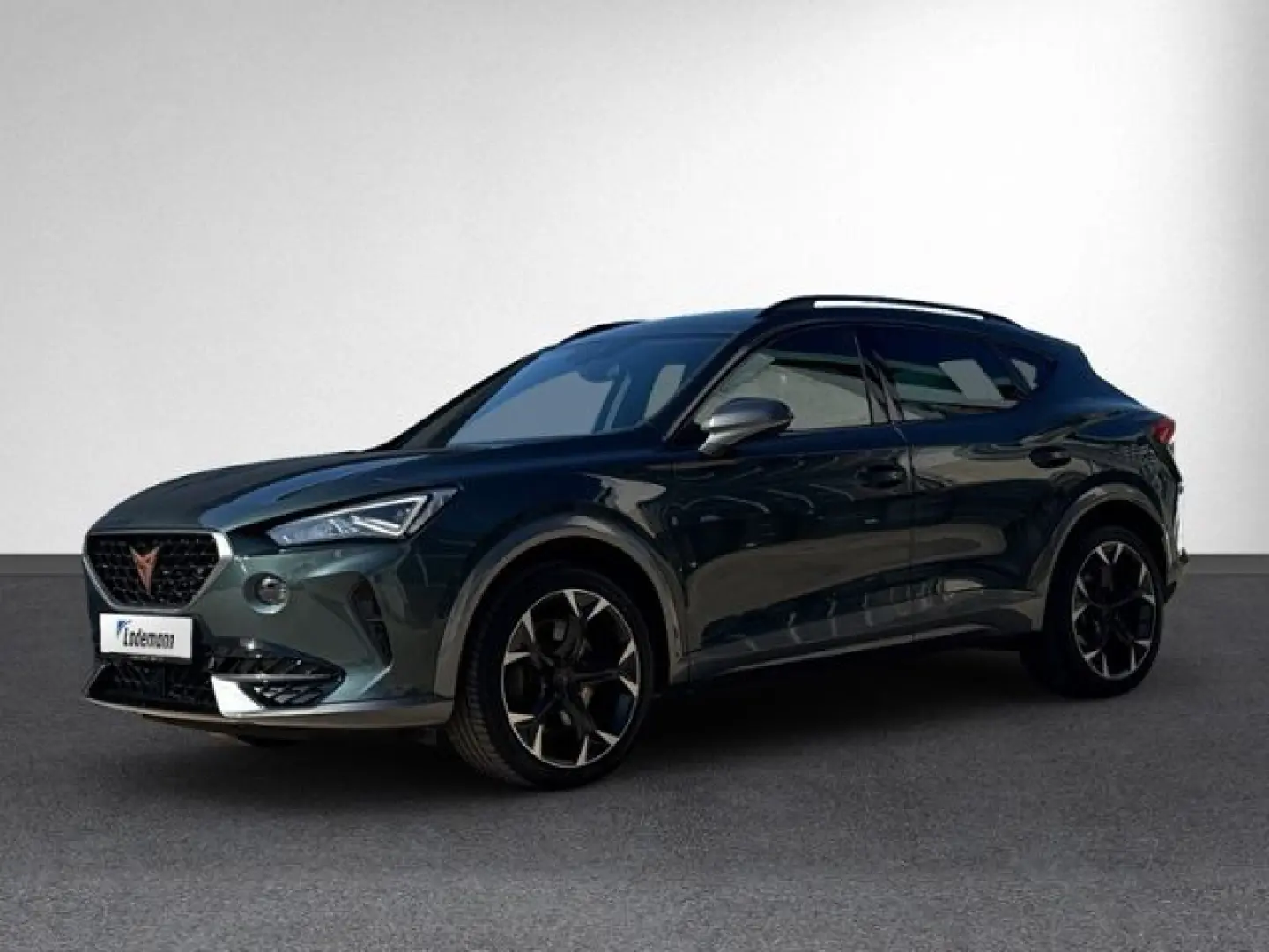 Formentor 2.0 TSI VZ LED NAVI. RFK ACC BEATS SHZ