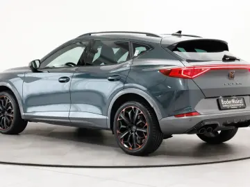 Formentor 2.0 TSI 4D DSG VZ AHK CarPlay SHZ ACC