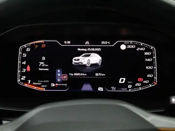 Formentor 2.0 TSI 4D DSG VZ AHK CarPlay SHZ ACC