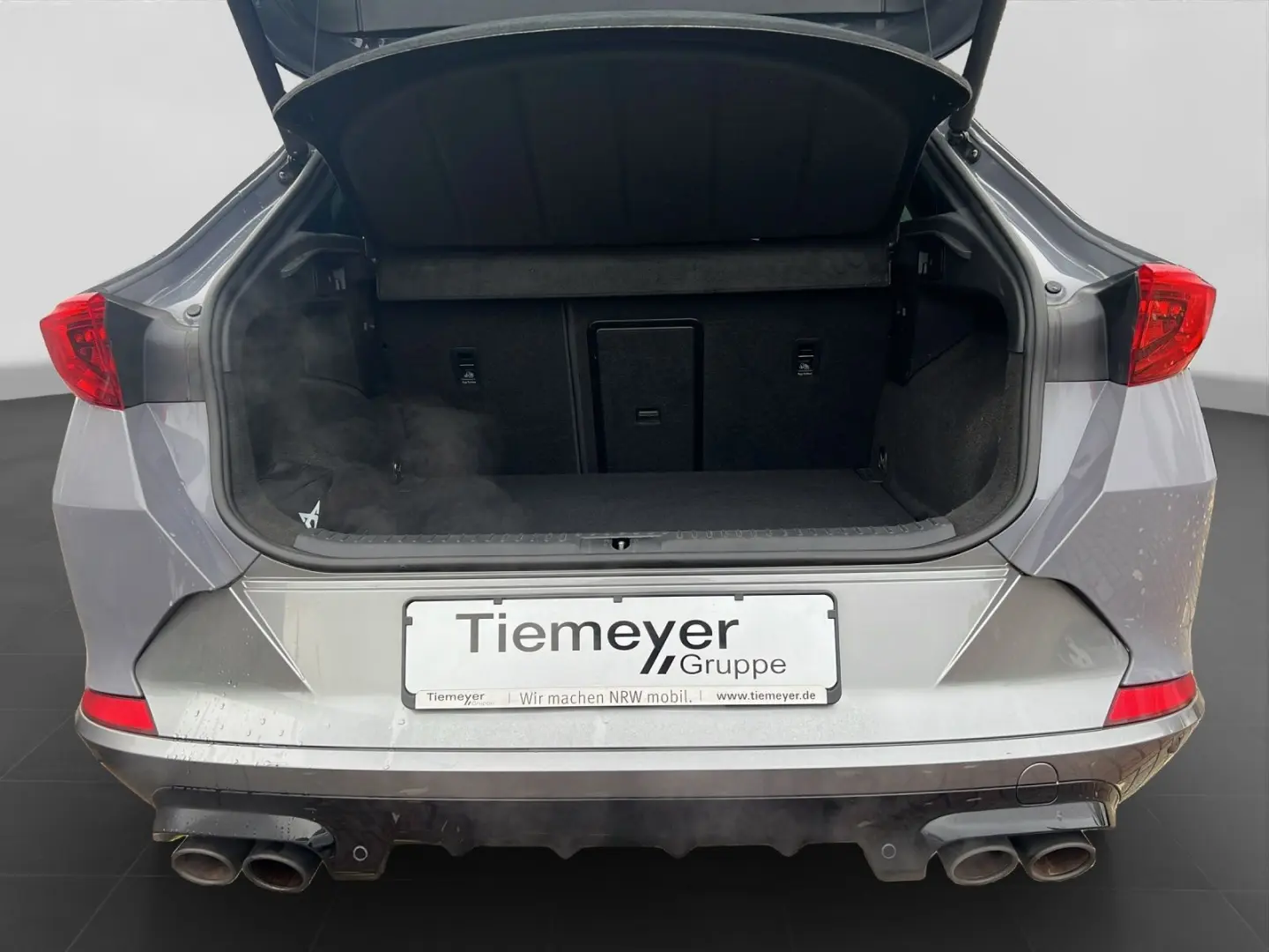 Formentor 2.0 TSI VZ BREMBO LM19 PANO BETAS MS-S