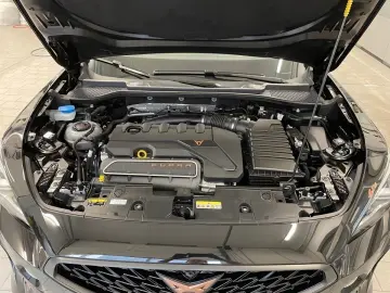 Formentor 2.5 TSI 4Drive VZ5  PANO BEATS MATRIX