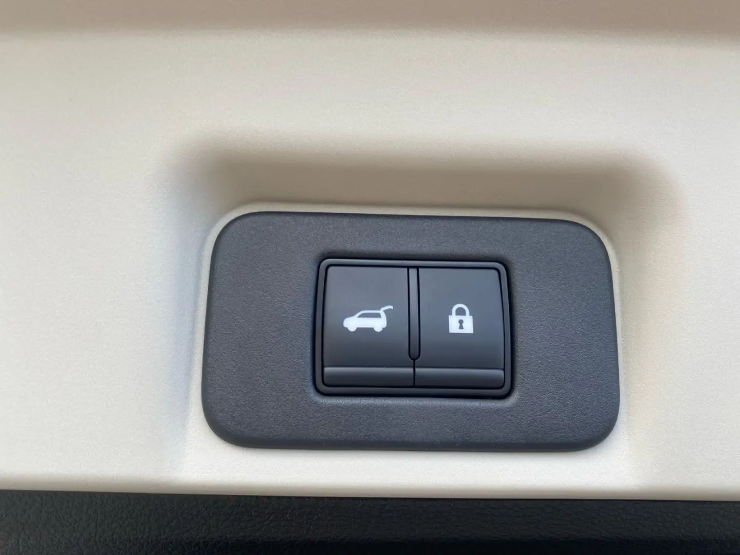 Ariya Evolve  e-4orce 394PS 4x4 I inkl. Winterrä