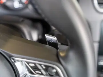 Cayman Style Edition PDK  SportDesign Paket uvm.