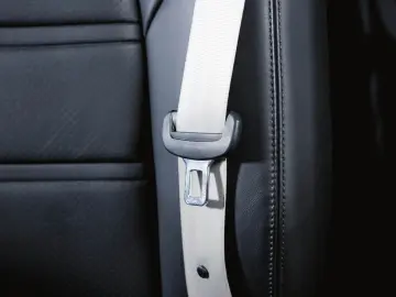 Cayenne E-Hybrid Platinum Edition Luftfederung