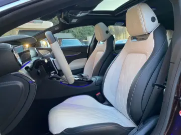 AMG GT 53 4M  Special Edition 3DBurm Massage GSD