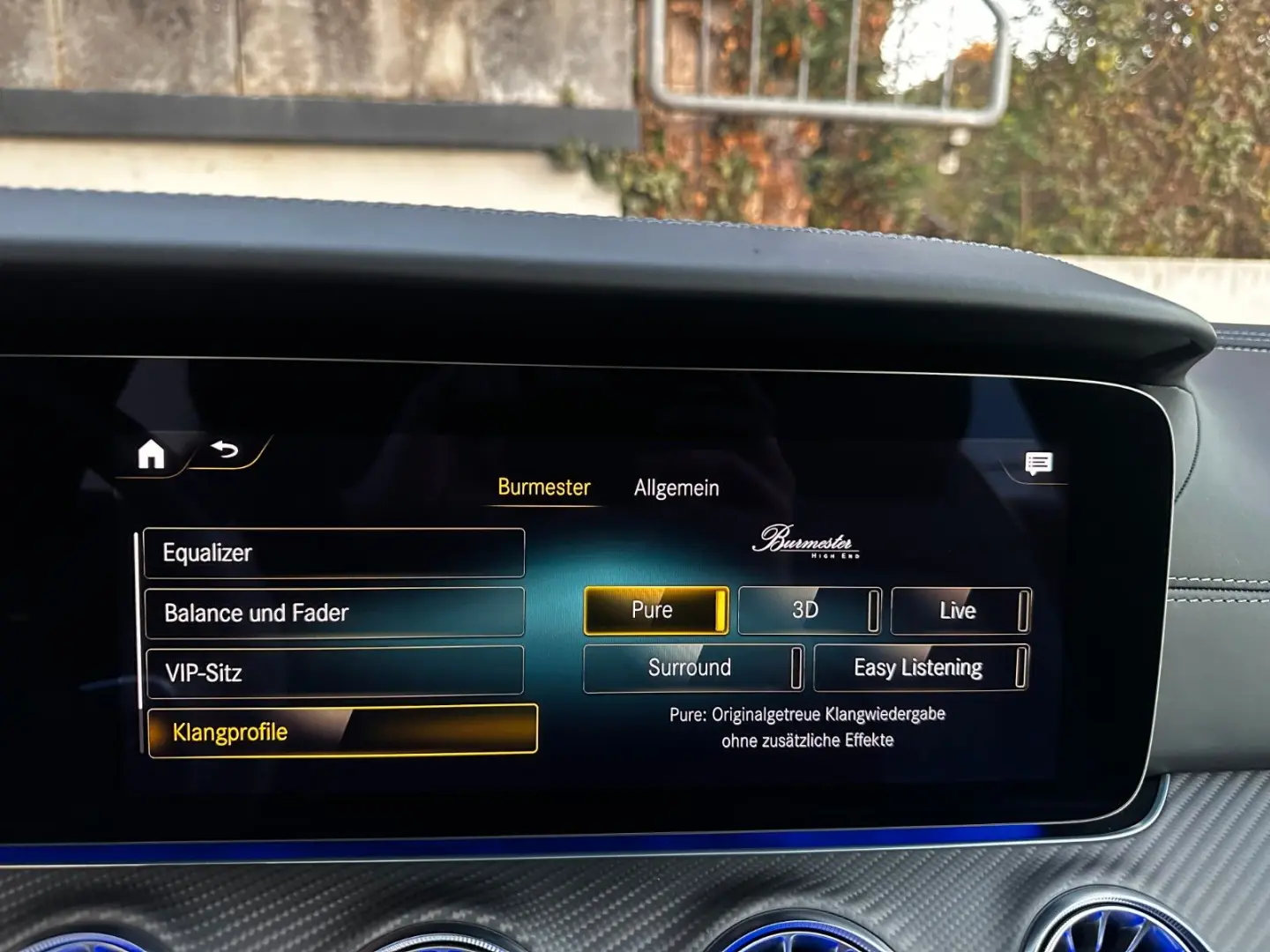 AMG GT 53 4M  Special Edition 3DBurm Massage GSD