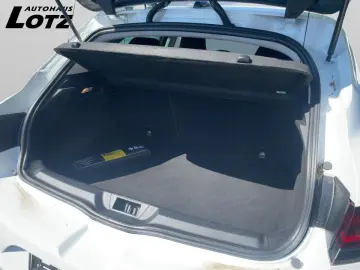 Megane R.S. TCe 300 EDC