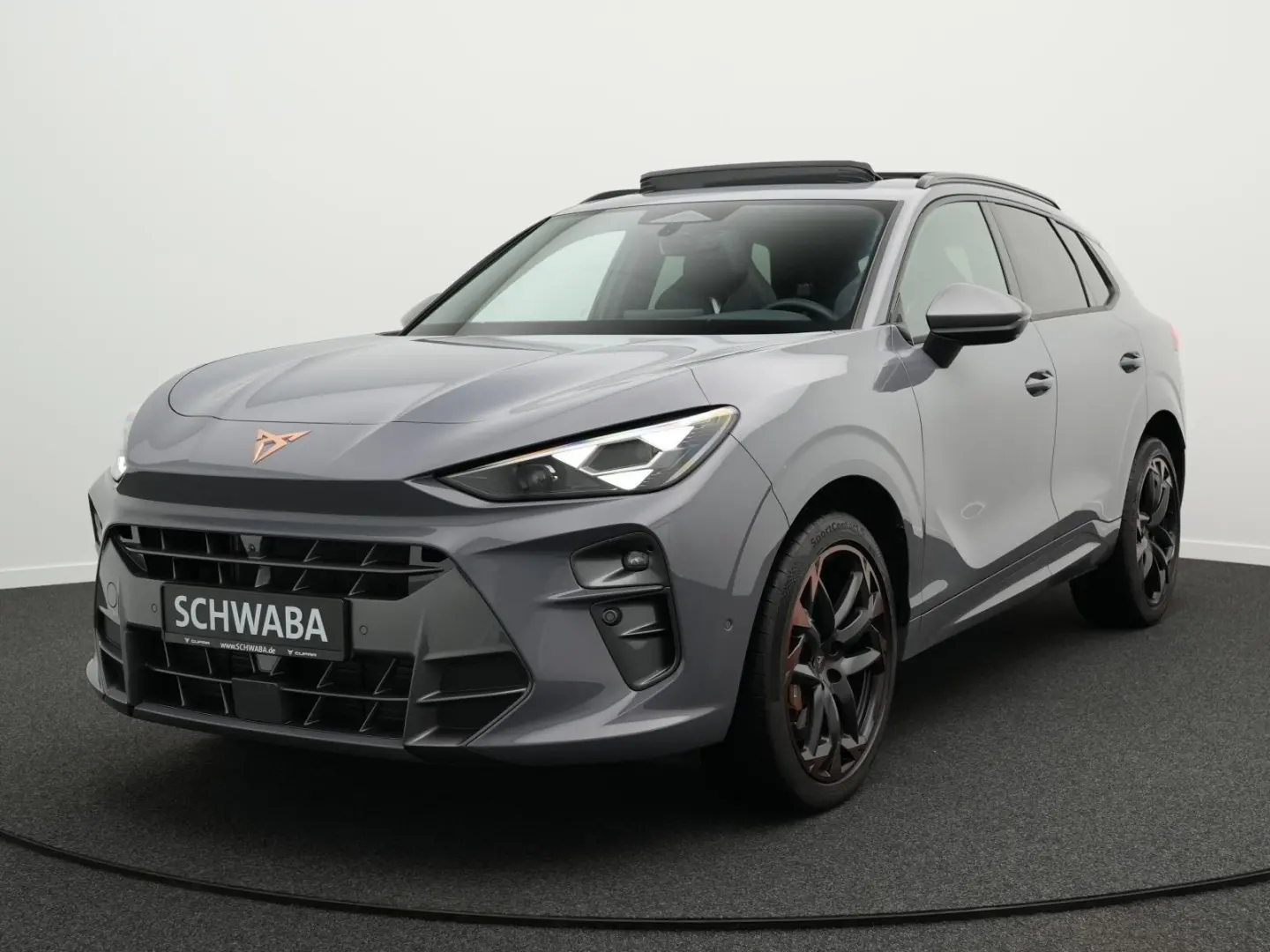 Terramar VZ 2.0 TSI DSG 4DriveLED ACC PANO HdUp