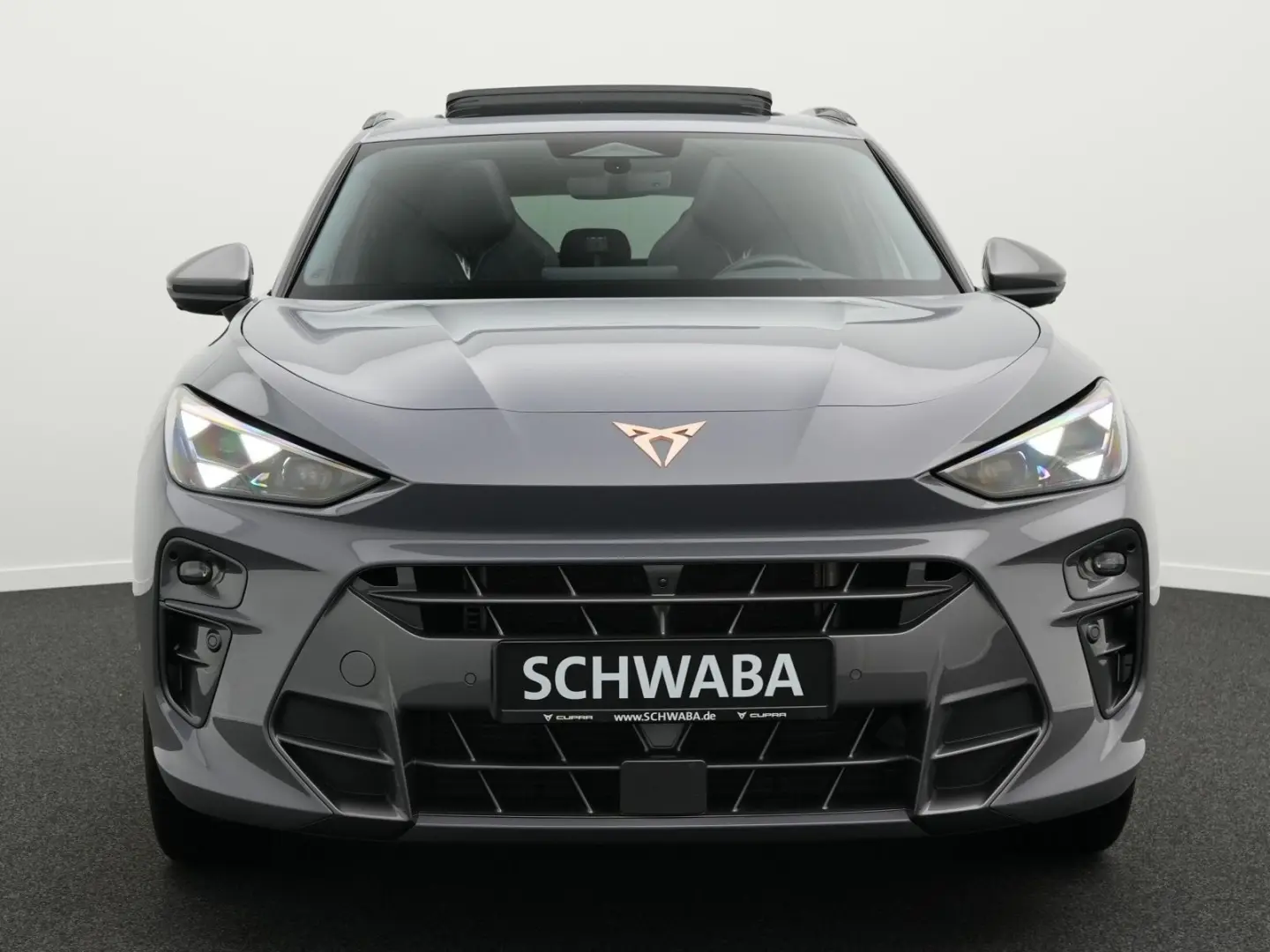 Terramar VZ 2.0 TSI DSG 4DriveLED ACC PANO HdUp