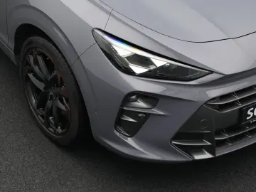 Terramar VZ 2.0 TSI DSG 4DriveLED ACC PANO HdUp