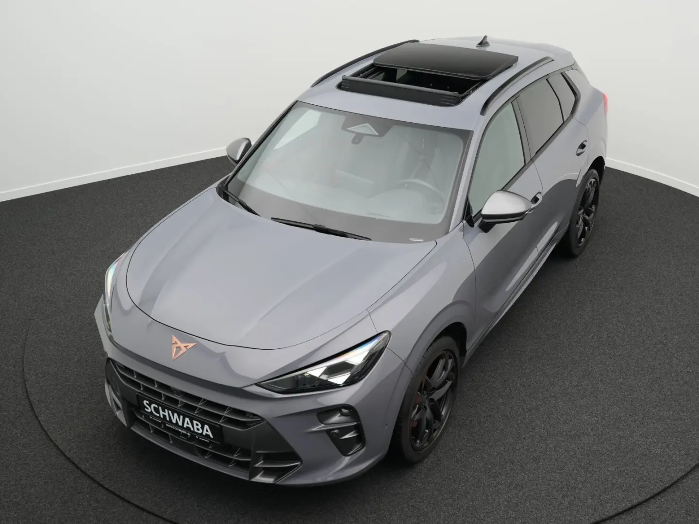 Terramar VZ 2.0 TSI DSG 4DriveLED ACC PANO HdUp