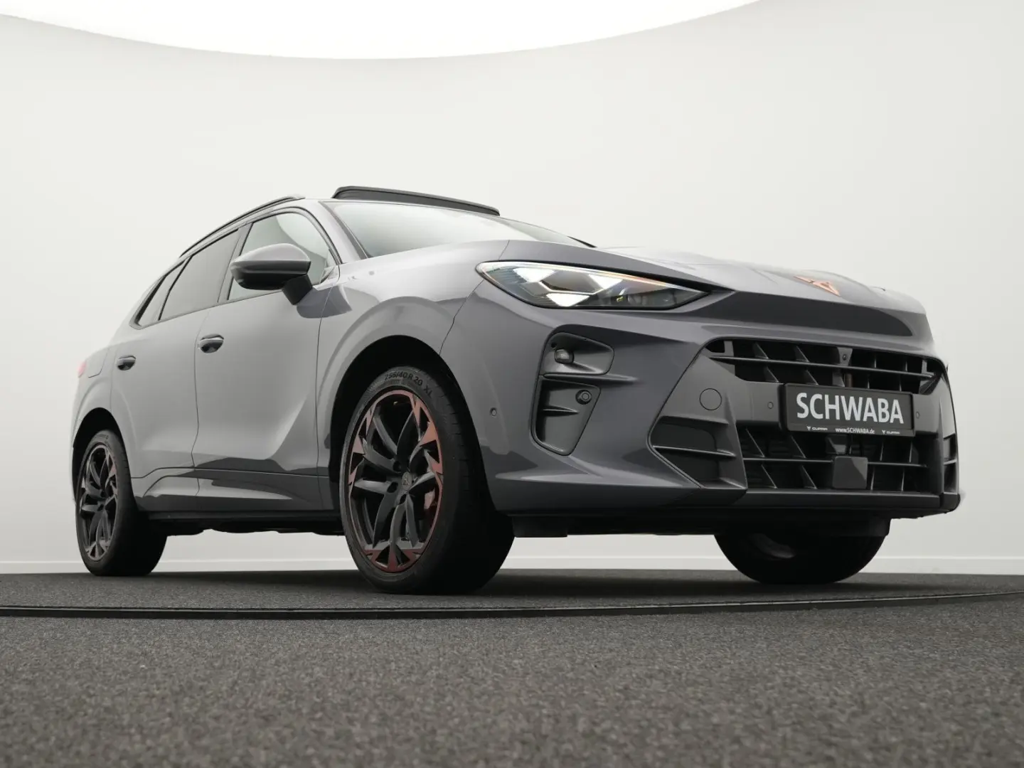 Terramar VZ 2.0 TSI DSG 4DriveLED ACC PANO HdUp