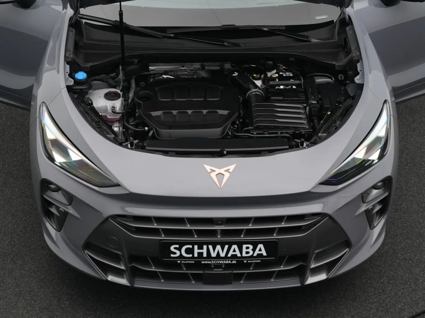 Terramar VZ 2.0 TSI DSG 4DriveLED ACC PANO HdUp