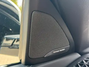 X6 30 d xDrive M Sport Pro Pano Iconic AHK 22