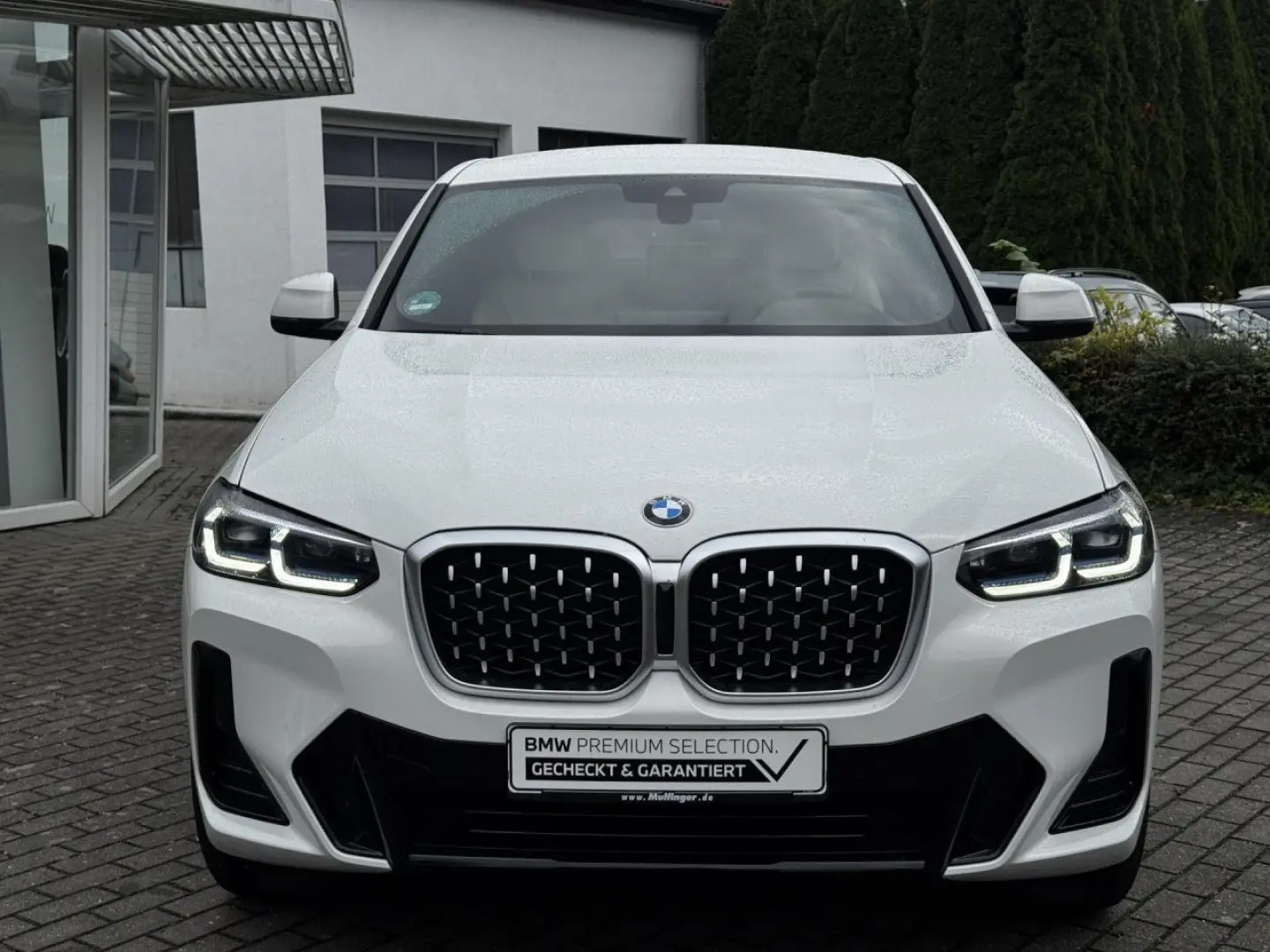 X4 x20d M Sport HUD Laser Kamera HiFi AHK 20