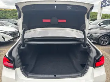 520d Limo M SPORT LiveProf Stop&Go RFK GSD 19