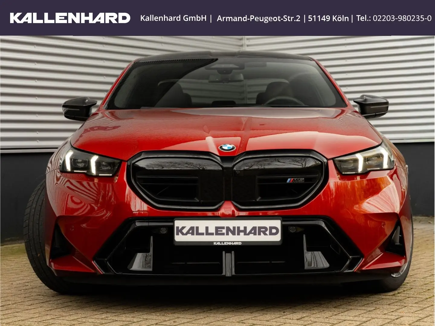 M5 Carbon Brakes-Bowers&Wilkins-Ultimate Pack Sp