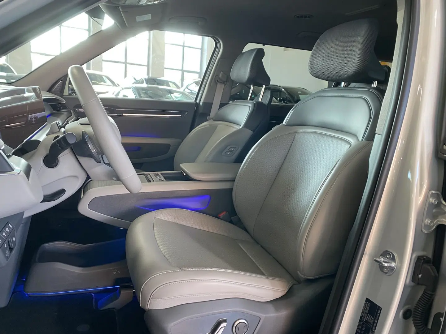 EV9 Earth AWD 7-Si. ACC Si.Lüft. Wärmepumpe