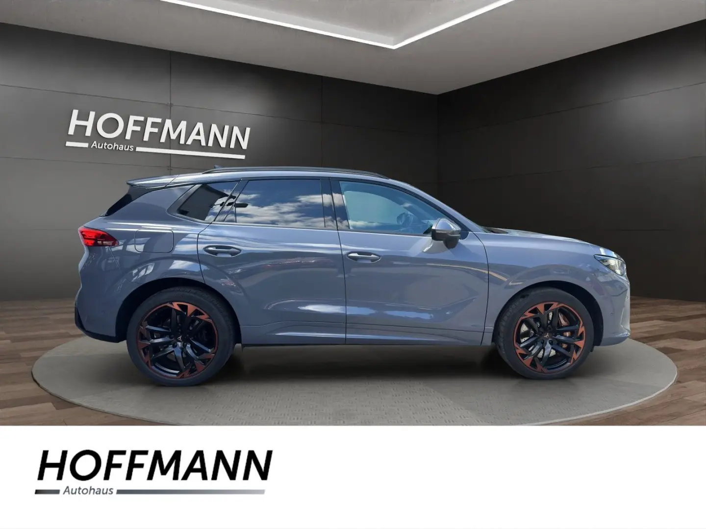 Terramar 2.0 TSI 4Drive VZ Matrix Pano HuD 360