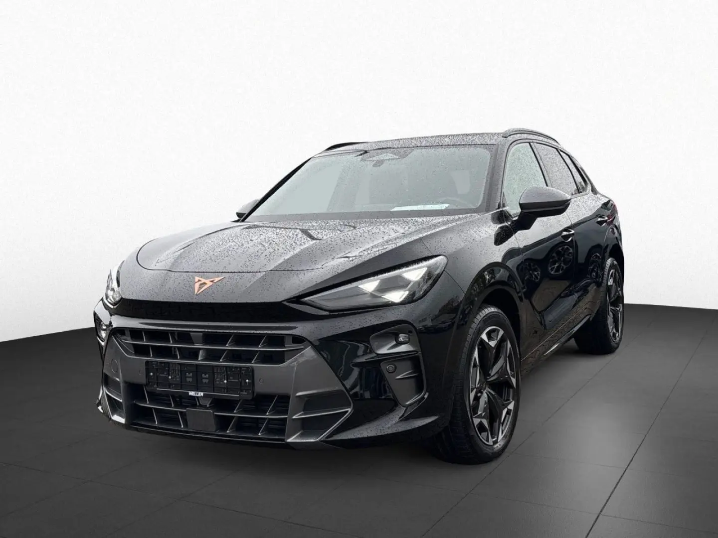 Terramar 2.0 TSI 4Drive Pano LED CarPlay