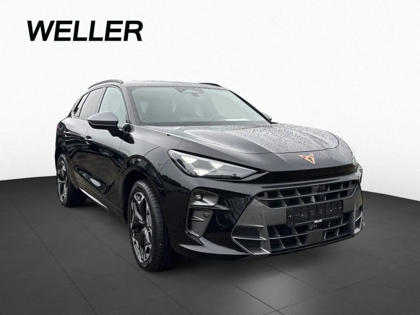 Terramar 2.0 TSI 4Drive Pano LED CarPlay