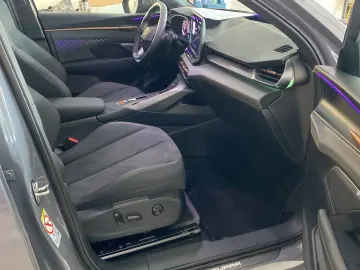 Terramar 1.5 eTSI DSG Sennheiser AHK Pano 20