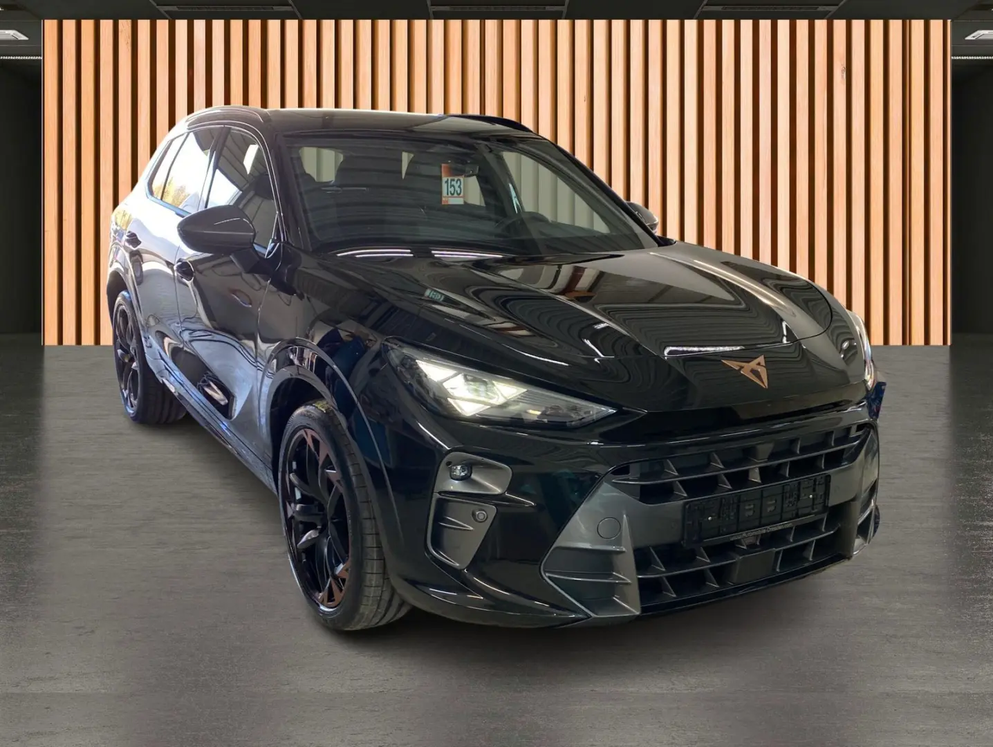 Terramar 1.5 eTSI DSG Sennheiser AHK Pano 20