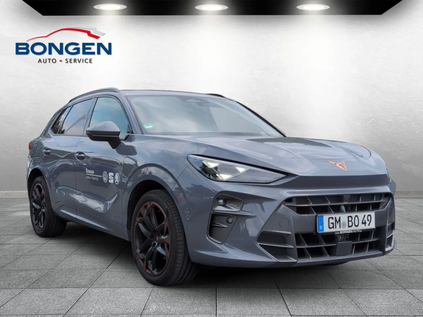 Terramar 1.5 eTSI DSG Head up Display 20 Zoll LM