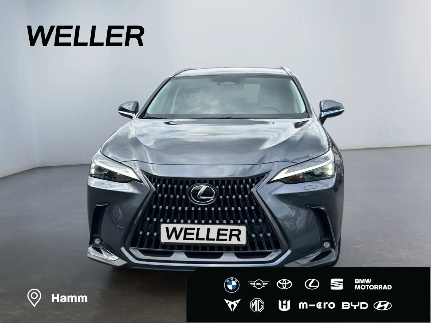 NX 450h  E-FOUR Executive Line  AHK Leder 360Gra