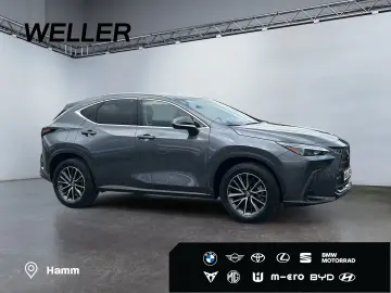 NX 450h  E-FOUR Executive Line  AHK Leder 360Gra