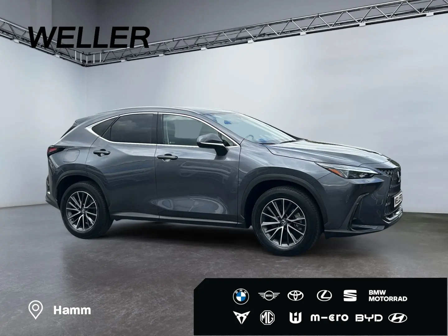 NX 450h  E-FOUR Executive Line  AHK Leder 360Gra