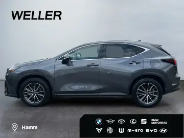 NX 450h  E-FOUR Executive Line  AHK Leder 360Gra