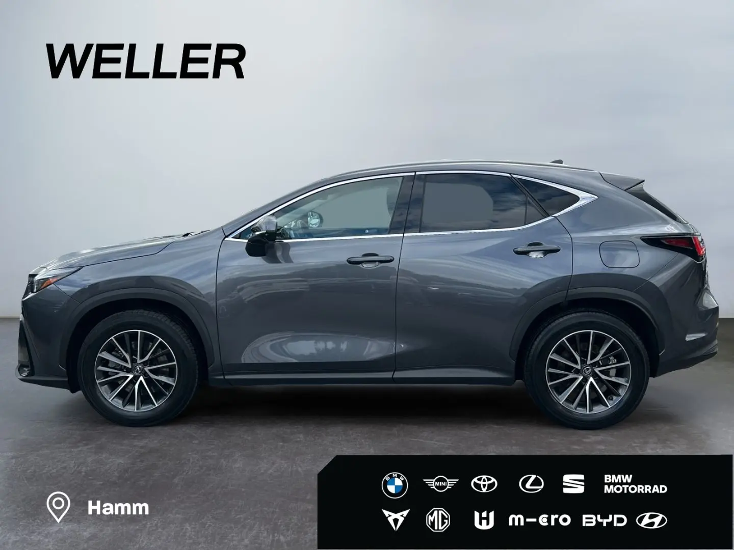 NX 450h  E-FOUR Executive Line  AHK Leder 360Gra