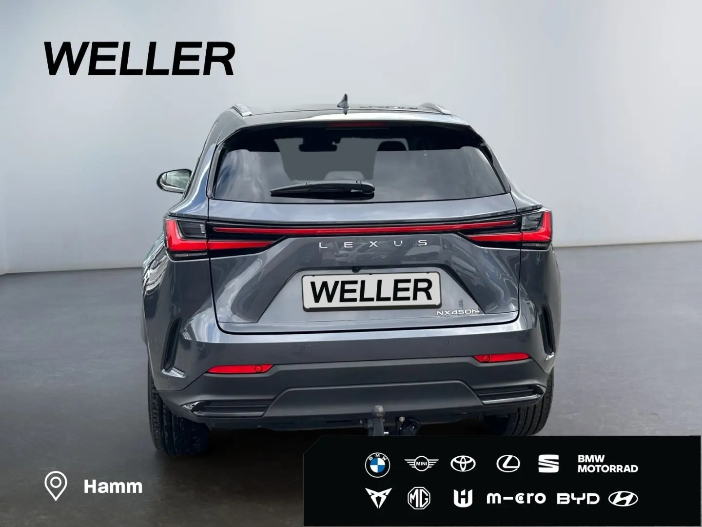 NX 450h  E-FOUR Executive Line  AHK Leder 360Gra