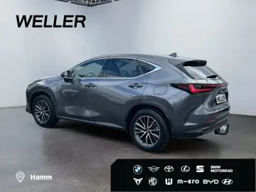 NX 450h  E-FOUR Executive Line  AHK Leder 360Gra