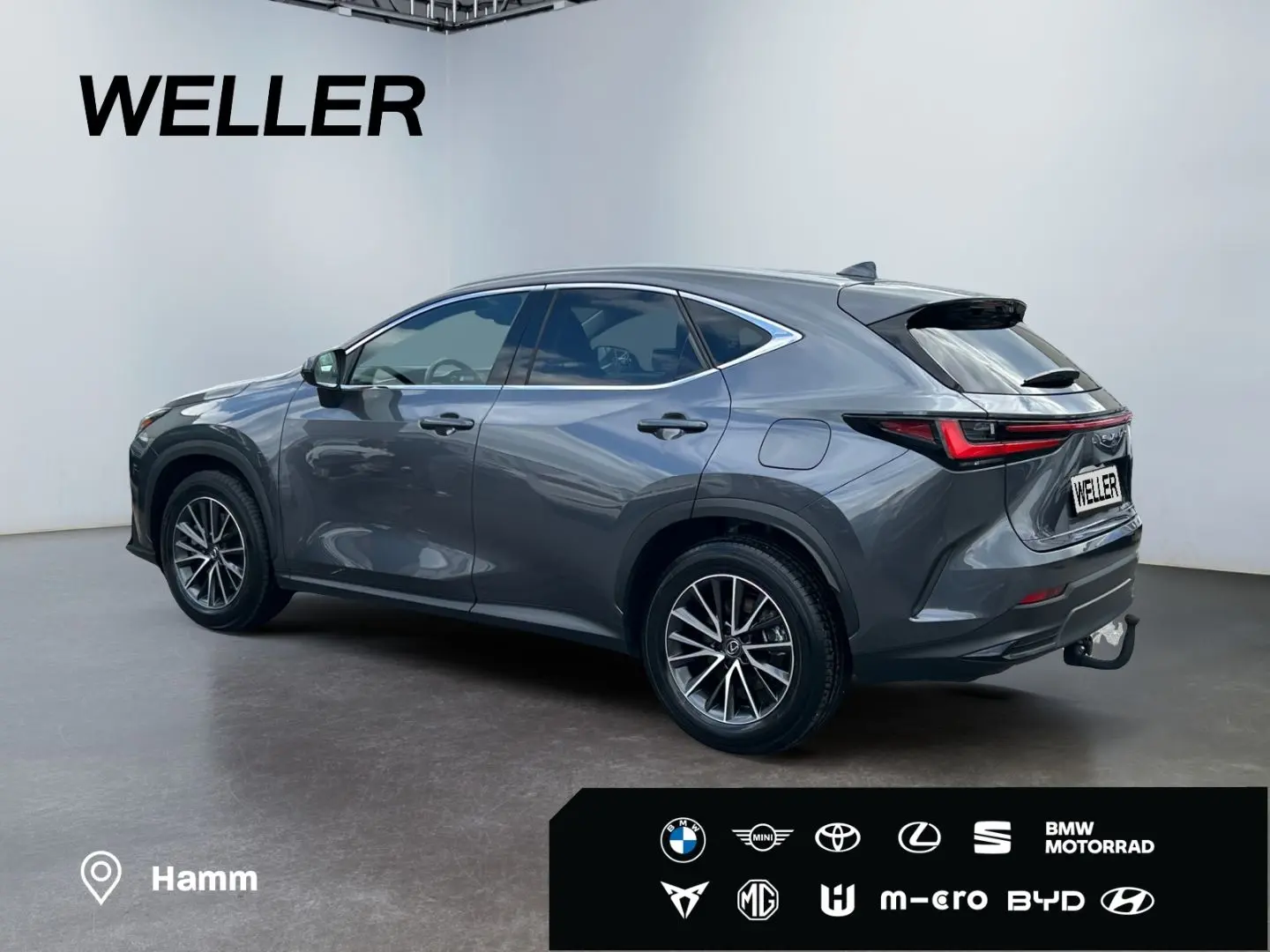 NX 450h  E-FOUR Executive Line  AHK Leder 360Gra