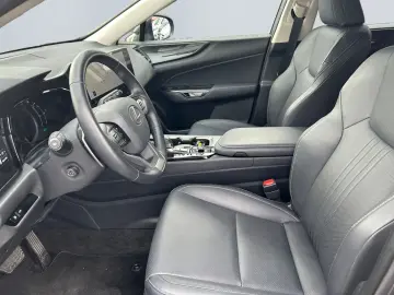 NX 450h  E-FOUR Executive Line  AHK Leder 360Gra