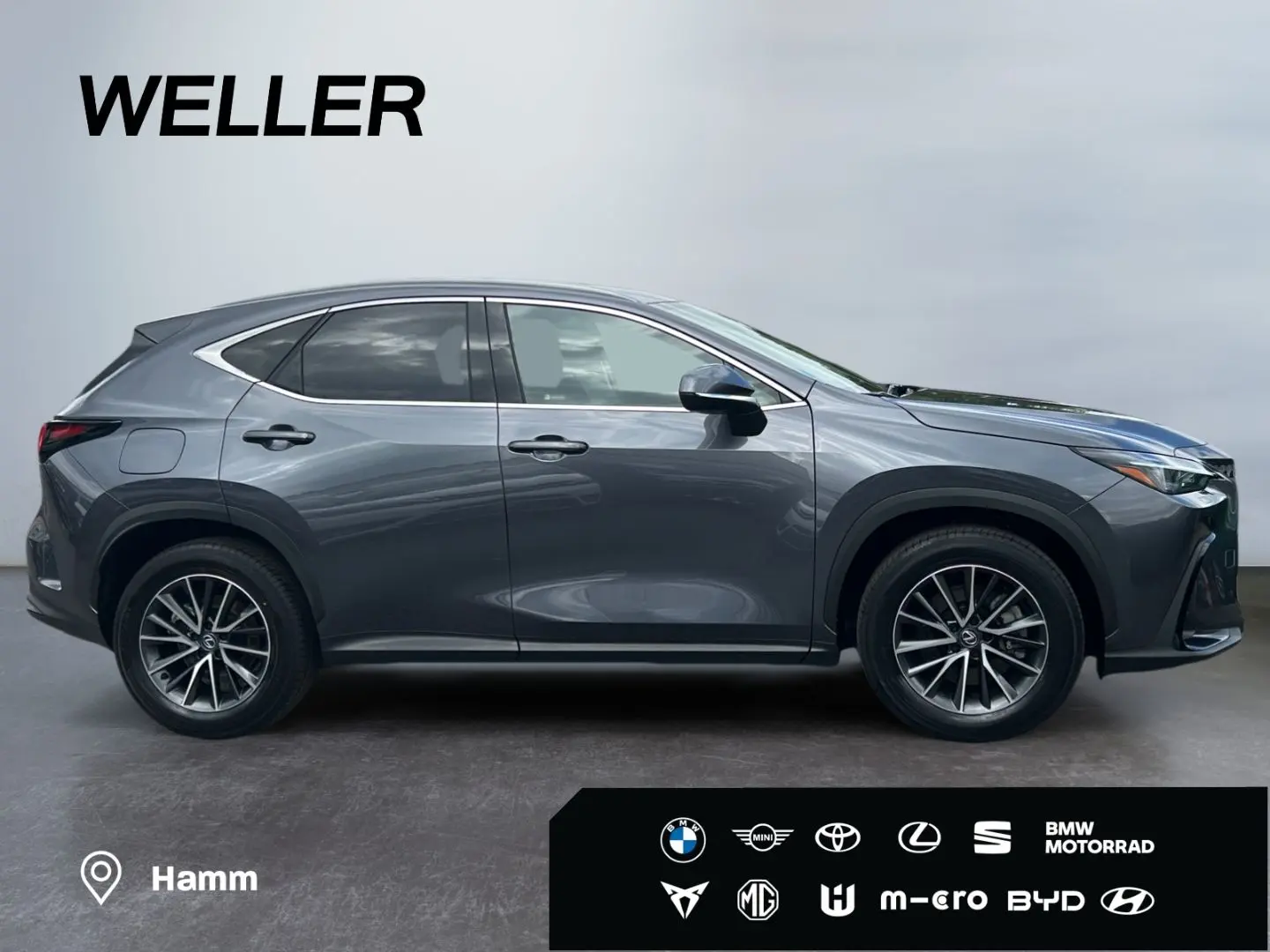 NX 450h  E-FOUR Executive Line  AHK Leder 360Gra