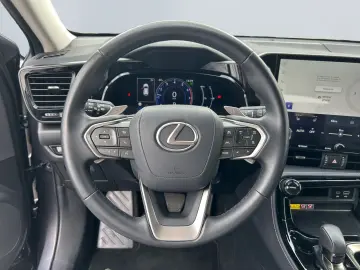 NX 450h  E-FOUR Executive Line  AHK Leder 360Gra