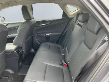 NX 450h  E-FOUR Executive Line  AHK Leder 360Gra