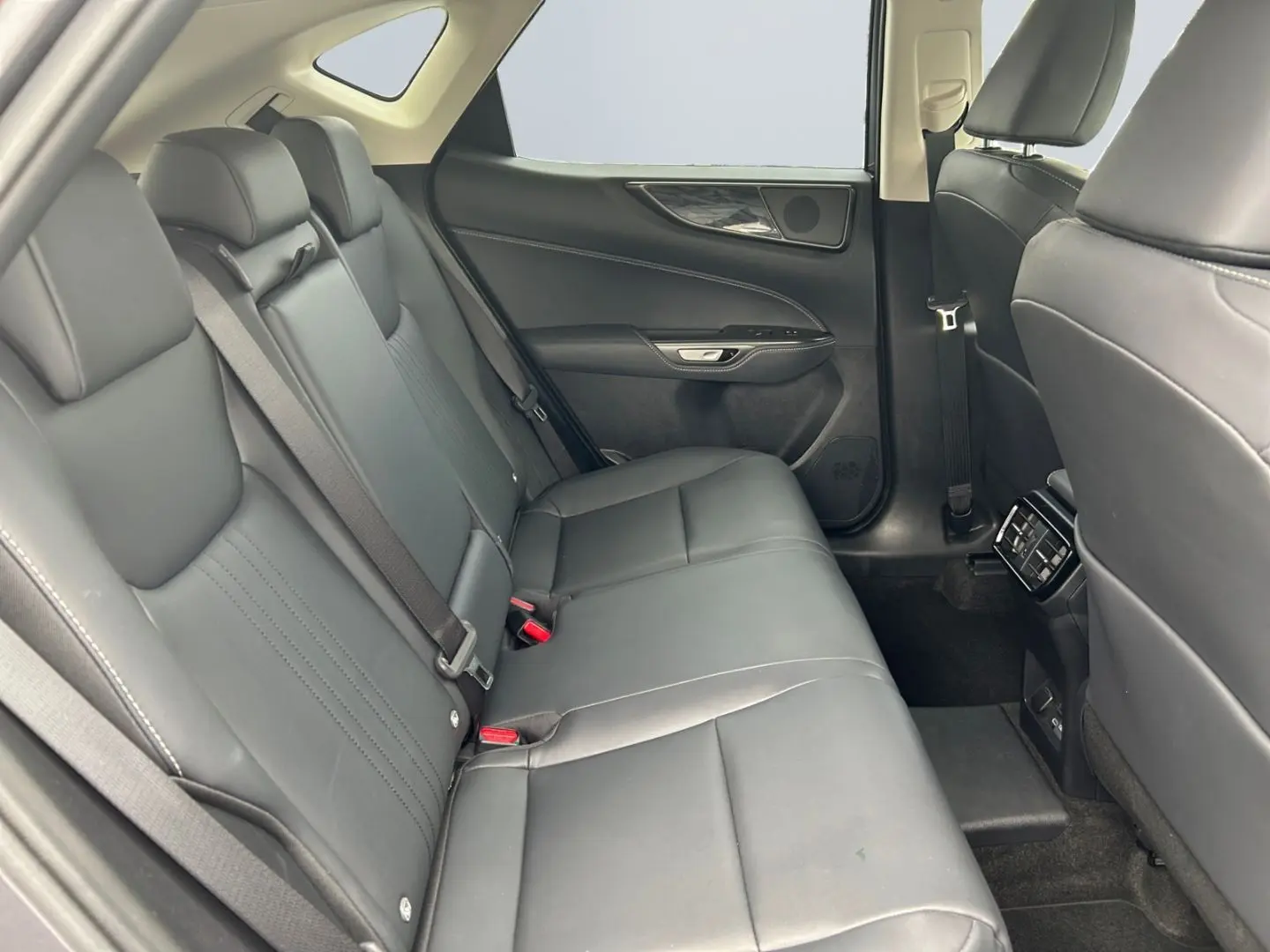 NX 450h  E-FOUR Executive Line  AHK Leder 360Gra