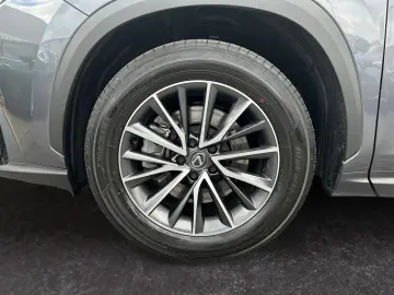 NX 450h  E-FOUR Executive Line  AHK Leder 360Gra