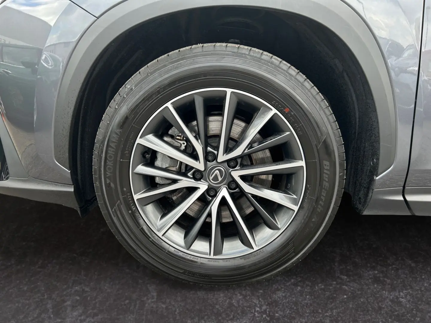 NX 450h  E-FOUR Executive Line  AHK Leder 360Gra