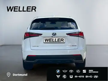 NX 300h E-FOUR F SPORT  Matrix 360  Levinson Pan