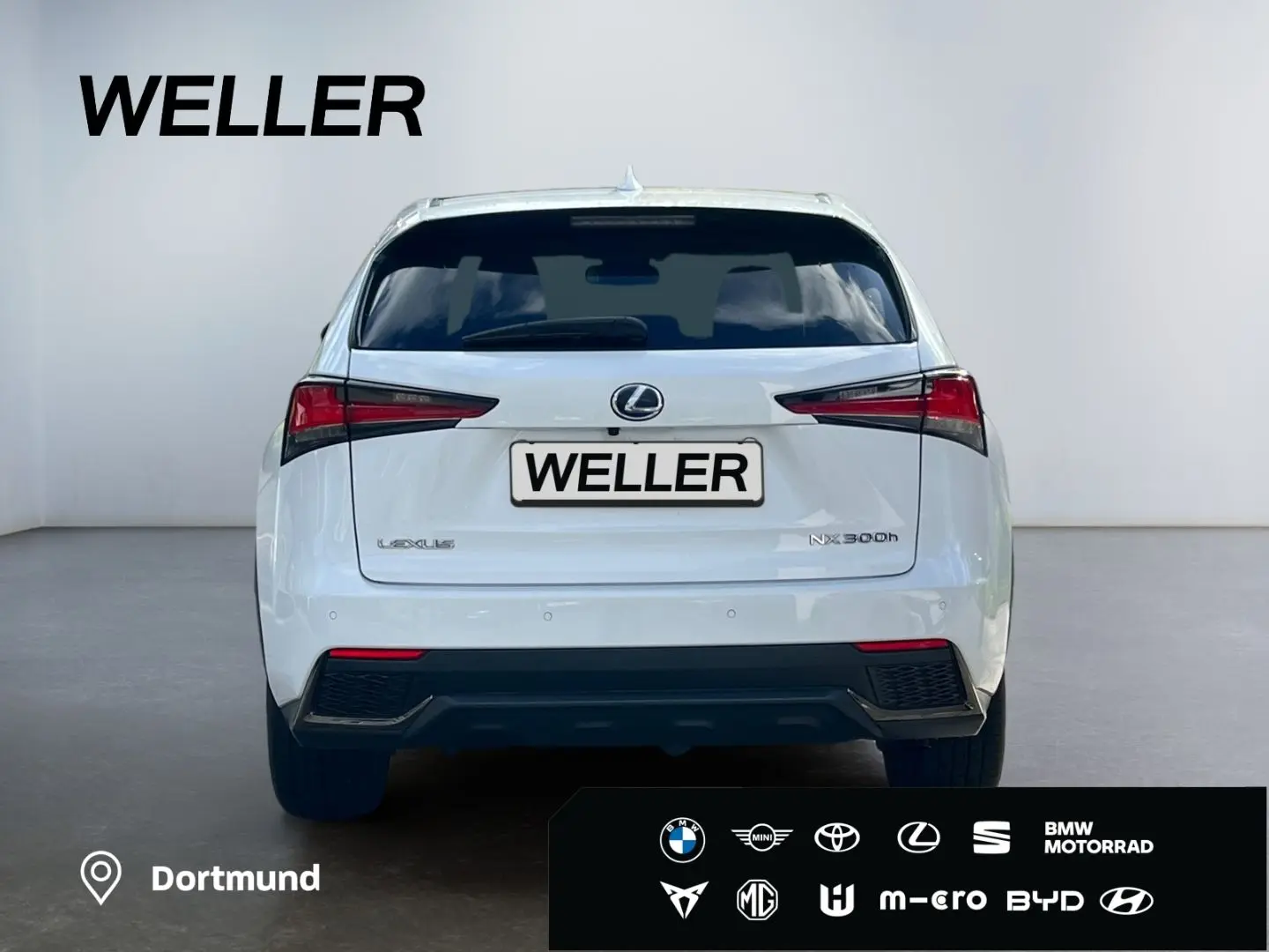 NX 300h E-FOUR F SPORT  Matrix 360  Levinson Pan