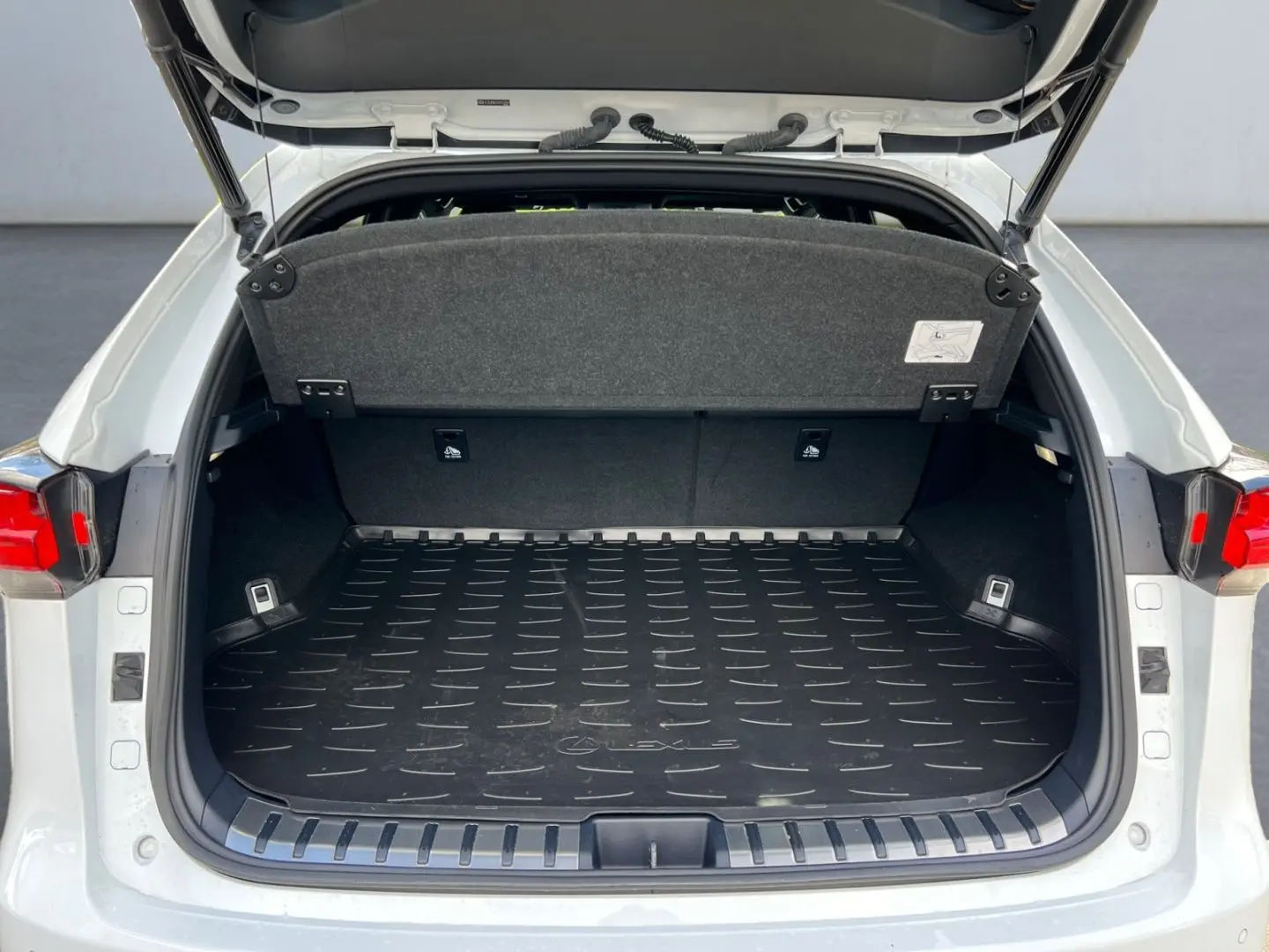 NX 300h E-FOUR F SPORT  Matrix 360  Levinson Pan