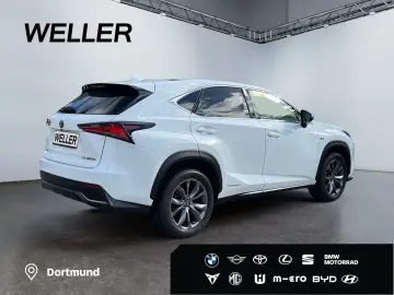 NX 300h E-FOUR F SPORT  Matrix 360  Levinson Pan