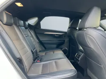 NX 300h E-FOUR F SPORT  Matrix 360  Levinson Pan